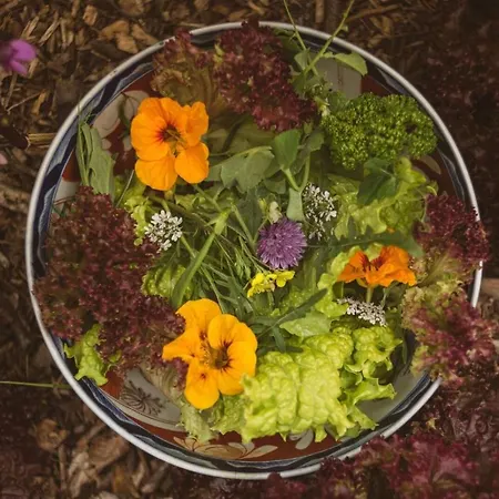 Hotel Fernhill House & Gardens