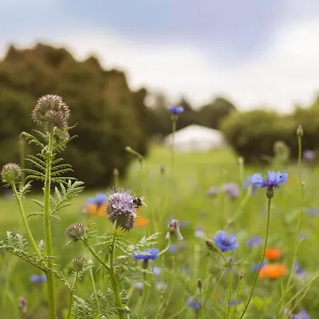 Hotel Fernhill House & Gardens Clonakilty