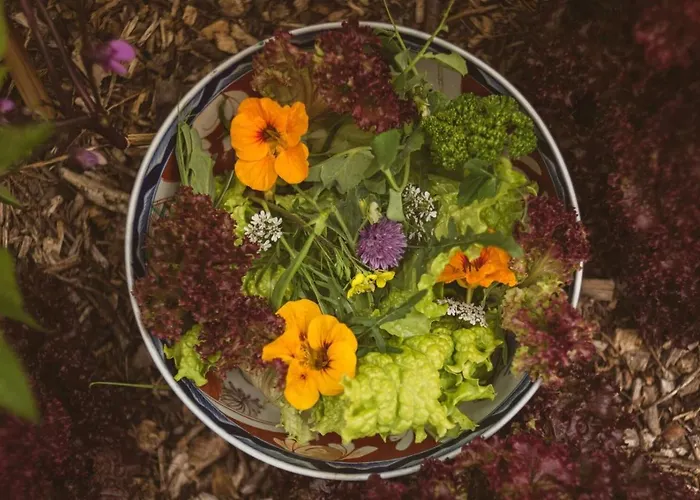 Hotel Fernhill House & Gardens