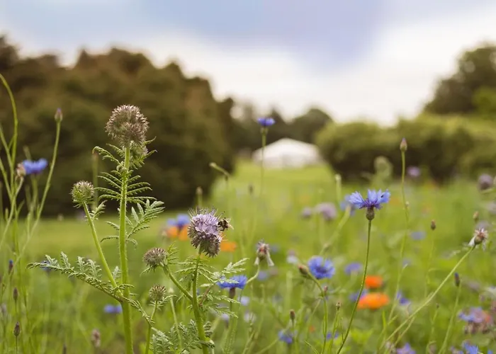 Hotel Fernhill House & Gardens Clonakilty